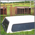 AUCTION ITEM:gs1003C036t.jpg
