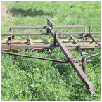 AUCTION ITEM:gs1004A009t.jpg