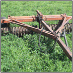 AUCTION ITEM:gs1004A010t.jpg