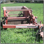 AUCTION ITEM:gs1004A017t.jpg