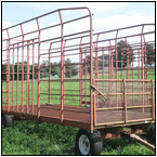 AUCTION ITEM:gs1004A045t.jpg
