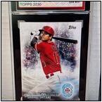 AUCTION ITEM:ha0817M019t.jpg