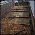 AUCTION ITEM:hv0523M017t.jpg
