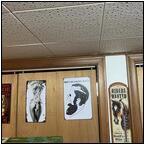 AUCTION ITEM:hv0627M006t.jpg