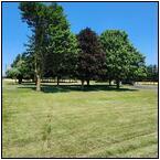 AUCTION ITEM:hv0822M004t.jpg