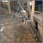 AUCTION ITEM:hv1017M003t.jpg