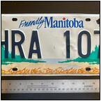 AUCTION ITEM:ip0414C014t.jpg