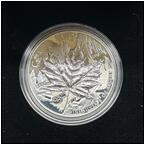 AUCTION ITEM:ip0721E027t.jpg