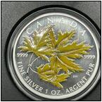 AUCTION ITEM:ip0721E034t.jpg