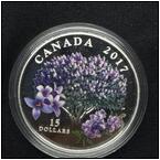 AUCTION ITEM:ip1013A023t.jpg
