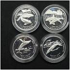 AUCTION ITEM:ip1013B017t.jpg