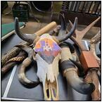 AUCTION ITEM:jo0627M008t.jpg