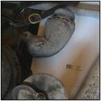 AUCTION ITEM:jo1010K025t.jpg