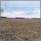 AUCTION ITEM:js0428A001t.jpg