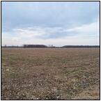 AUCTION ITEM:js0428A002t.jpg