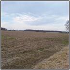 AUCTION ITEM:js0428A005t.jpg