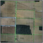 AUCTION ITEM:js0428A006t.jpg