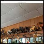 AUCTION ITEM:kn0321M003t.jpg