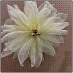 AUCTION ITEM:mj1212M001t.jpg