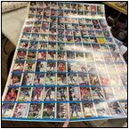 AUCTION ITEM:mp0206M027t.jpg