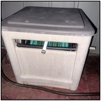 AUCTION ITEM:mp0213M038t.jpg