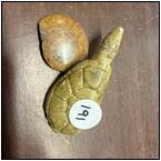 AUCTION ITEM:mp0221M014t.jpg