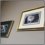 AUCTION ITEM:mp0421M001t.jpg