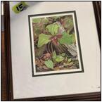 AUCTION ITEM:mp0524M011t.jpg