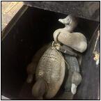 AUCTION ITEM:mp0919M027t.jpg