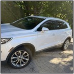 AUCTION ITEM:mp1003M004t.jpg