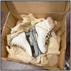 AUCTION ITEM:mp1129M017t.jpg