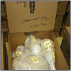 AUCTION ITEM:pd0530M006t.jpg