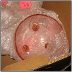 AUCTION ITEM:pd0530M018t.jpg