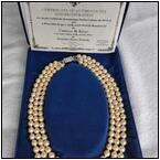 AUCTION ITEM:pd0614M005t.jpg
