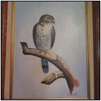 AUCTION ITEM:pd1031M014t.jpg