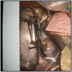 AUCTION ITEM:pd1213M012t.jpg