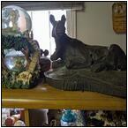 AUCTION ITEM:ph0321M065t.jpg