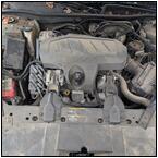 AUCTION ITEM:ph0328M036t.jpg