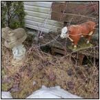 AUCTION ITEM:ph0418M051t.jpg