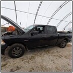 AUCTION ITEM:ph0502M063t.jpg