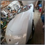 AUCTION ITEM:ph0502M084t.jpg