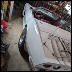 AUCTION ITEM:ph0502M085t.jpg