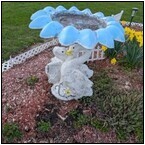 AUCTION ITEM:ph0518M048t.jpg