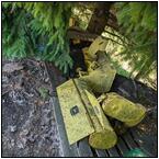 AUCTION ITEM:ph0822M050t.jpg