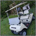 AUCTION ITEM:ph0927M005t.jpg