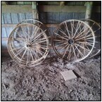 AUCTION ITEM:ph1010M001t.jpg