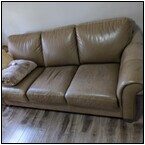 AUCTION ITEM:ph1010M068t.jpg