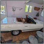 AUCTION ITEM:ph1013M054t.jpg