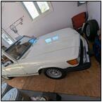 AUCTION ITEM:ph1013M055t.jpg