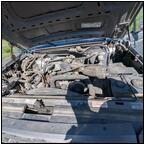 AUCTION ITEM:ph1013M056t.jpg